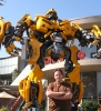 Filename=BumblebeeSC.jpg
Filesize=369KB
Dimensions=850x929
Date added=Sep 23, 2008 BumblebeeSC.jpg