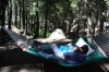 Filename=SiteD-B.jpg
Filesize=465KB
Dimensions=1200x799
Date added=Jul 12, 2010 SiteD-B.jpg