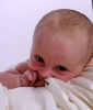 Filename=baby2.jpg
Filesize=292KB
Dimensions=685x797
Date added=Sep 21, 2008 baby2.jpg