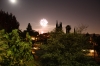 Filename=czar-9z.JPG
Filesize=791KB
Dimensions=1500x1000
Date added=Jul 14, 2009 czar-9z.JPG