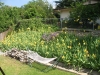 Filename=flowershammock.jpg
Filesize=881KB
Dimensions=1500x1125
Date added=Jun 28, 2008 flowershammock.jpg