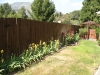 Filename=frontyard1.jpg
Filesize=902KB
Dimensions=1500x1125
Date added=Jun 28, 2008 frontyard1.jpg