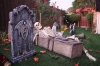 Filename=h91f.jpg
Filesize=503KB
Dimensions=1350x899
Date added=Oct 31, 2009 h91f.jpg