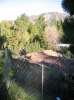 Filename=neighborsbelowleft.jpg
Filesize=868KB
Dimensions=1100x1467
Date added=Jun 28, 2008 neighborsbelowleft.jpg
